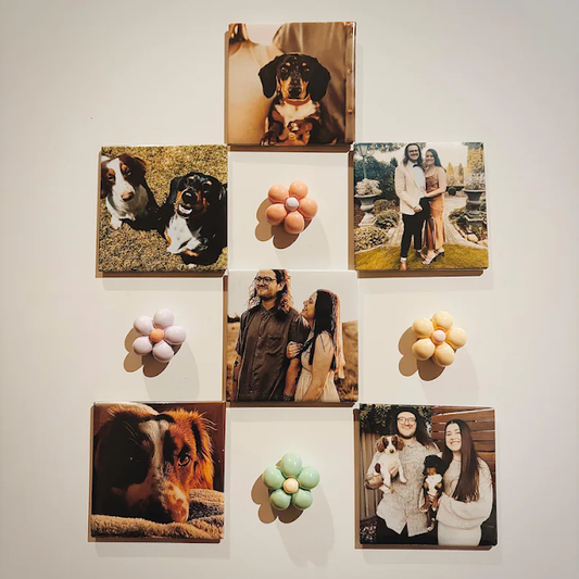Photo Magnet | Tile Bundles- 12